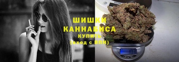 крисы Няндома