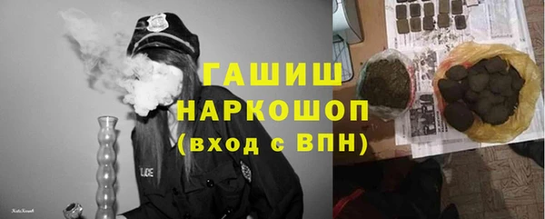 крисы Няндома