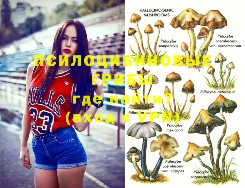 Псилоцибиновые грибы MAGIC MUSHROOMS  Белово 