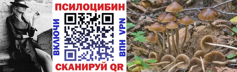 продажа наркотиков  Белово  kraken зеркало  Псилоцибиновые грибы GOLDEN TEACHER 