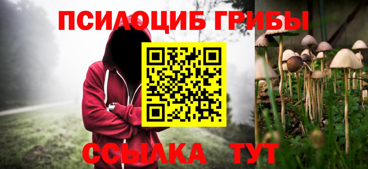 Галлюциногенные грибы Magic Shrooms Белово