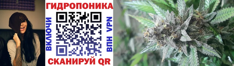 продажа наркотиков  Белово  Бошки Шишки сатива 